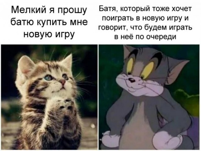 Юмор в картинках