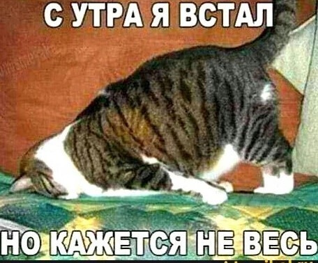 Утренняя позитивная подзарядка