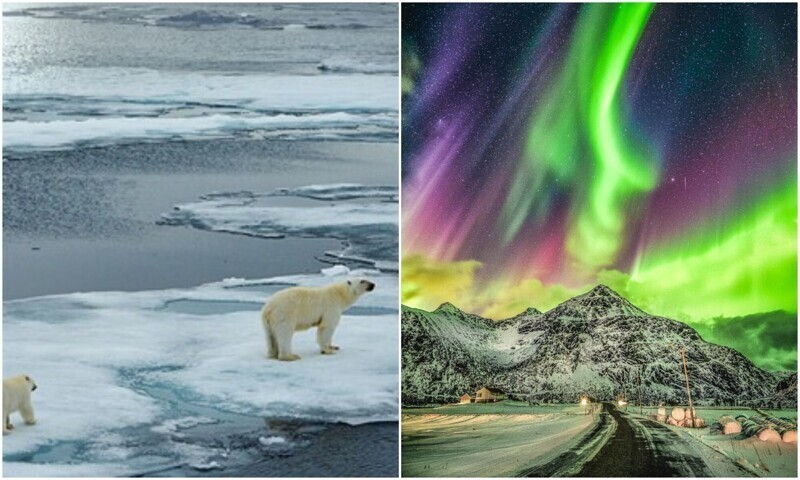 Арктика: пейзажи, от которых захватывает дух