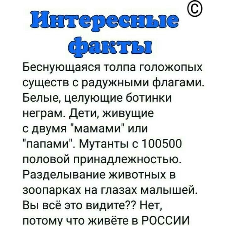 О политике и не только
