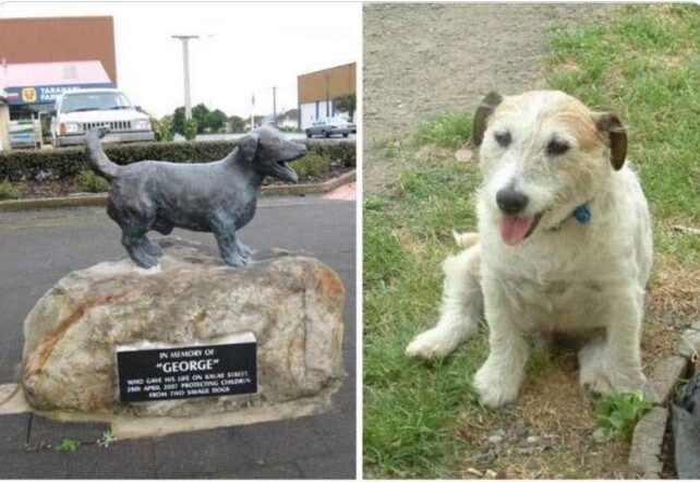 Памятник Джорджу - псу, который отдал свою жизнь в бою, защищая детей от нападения двух бродячих собак