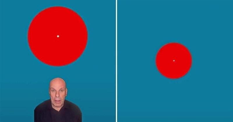 Оптическая иллюзия с «несуществующим самым красивым цветом» (5 фото)