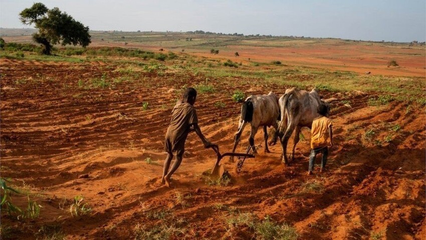 Мадагаскару грозит массовый голод, вызванный изменением климата