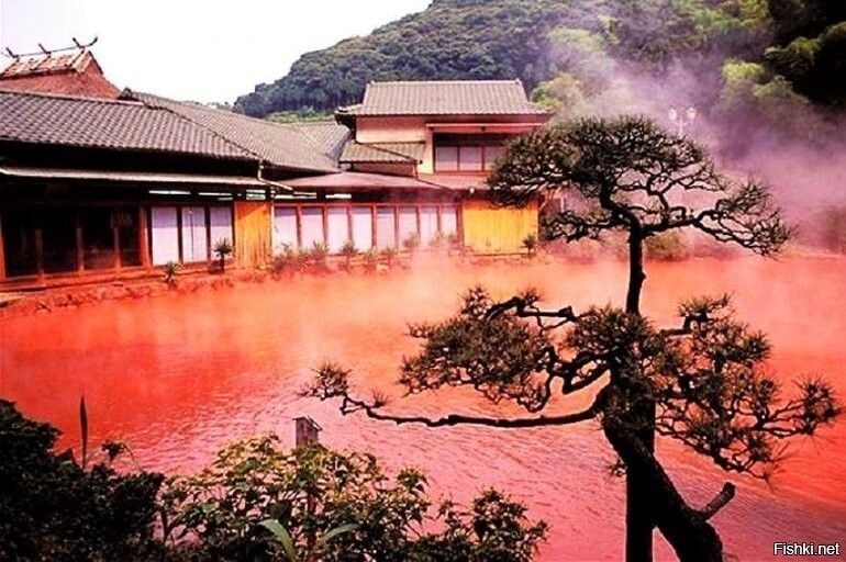 Кровавый водоем посреди парка Jigoku в Японии
