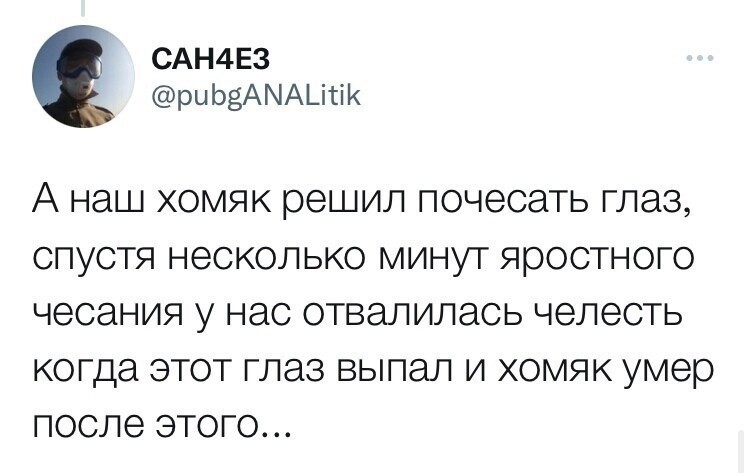 Хомяки и конкурс на самую нелепую смерть: в Твиттере поделились рассказами о домашних питомцах