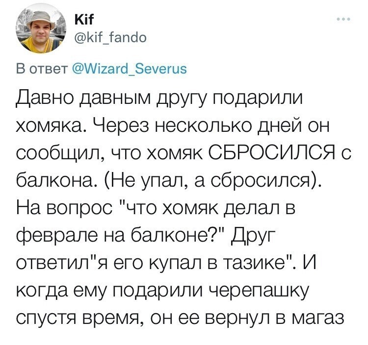 Хомяки и конкурс на самую нелепую смерть: в Твиттере поделились рассказами о домашних питомцах