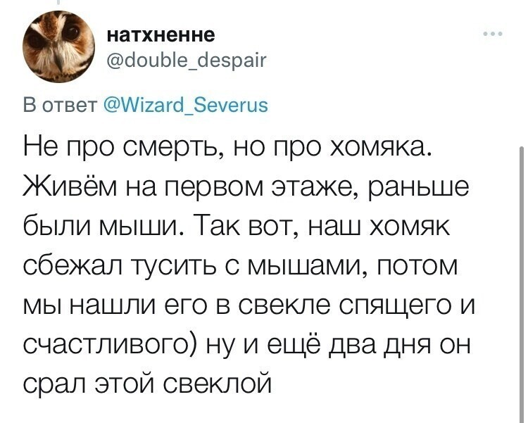 Но есть и счастливые истории про хомяков