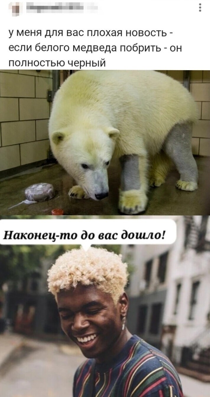 Политическая кухня