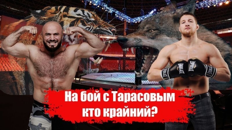 Минеев – Исмаилов 2 | Реванш года | Прогноз на бой