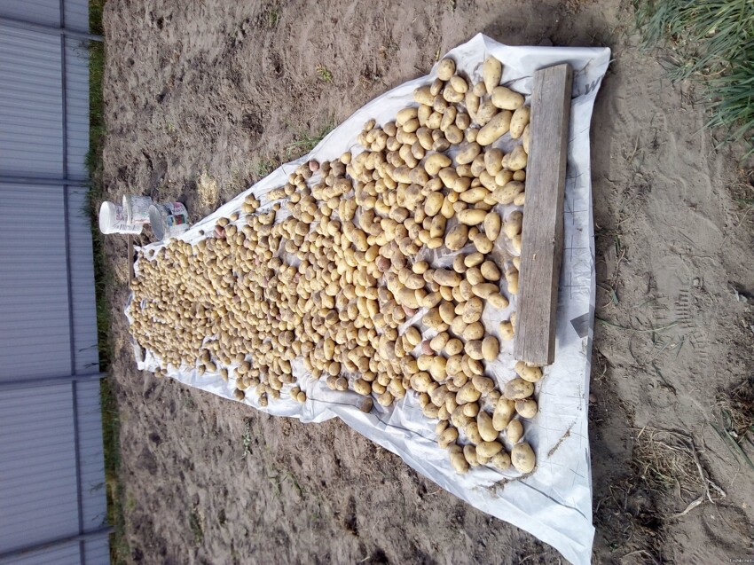 Ну, что, братья- славяне