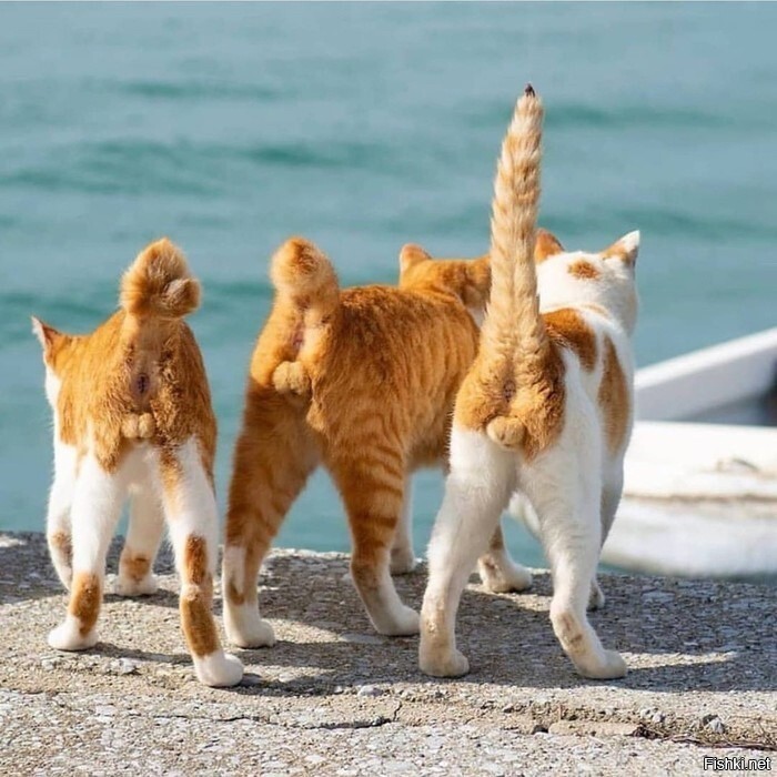 Картина Васнецова "Тройка с бубенцами"