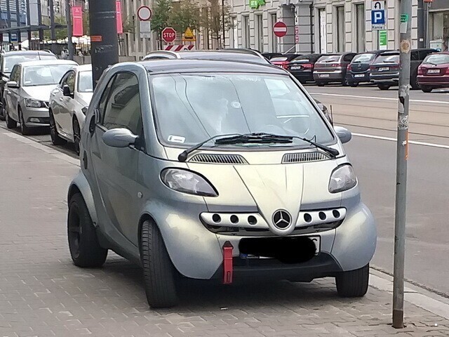 Автовсячина