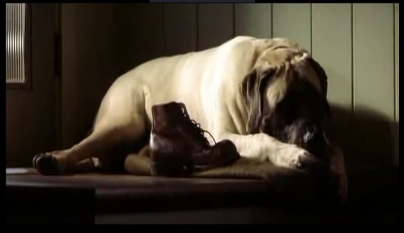 3. А Майкл Бэй дал своему псу Мэйсону роль в «Перл-Харборе» (2001).