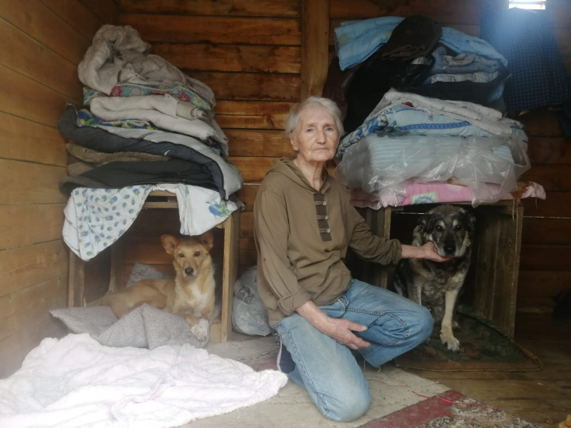 Большое сердце: пенсионерка шьёт подушки для кошек из приюта