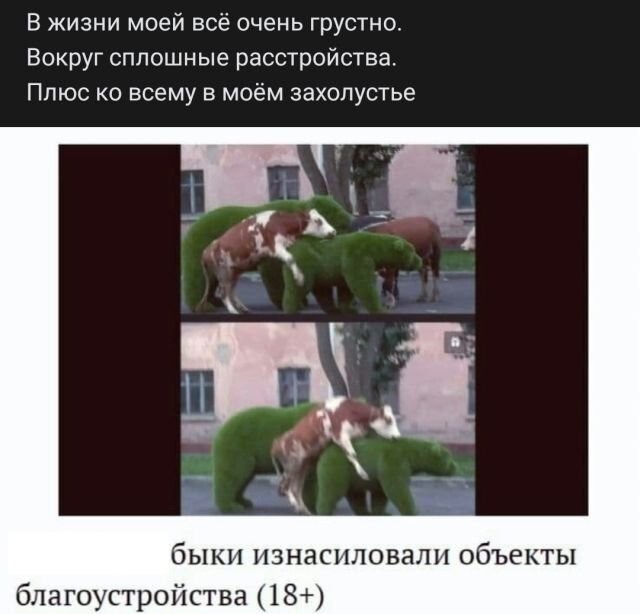 Рифмы из соцсетей