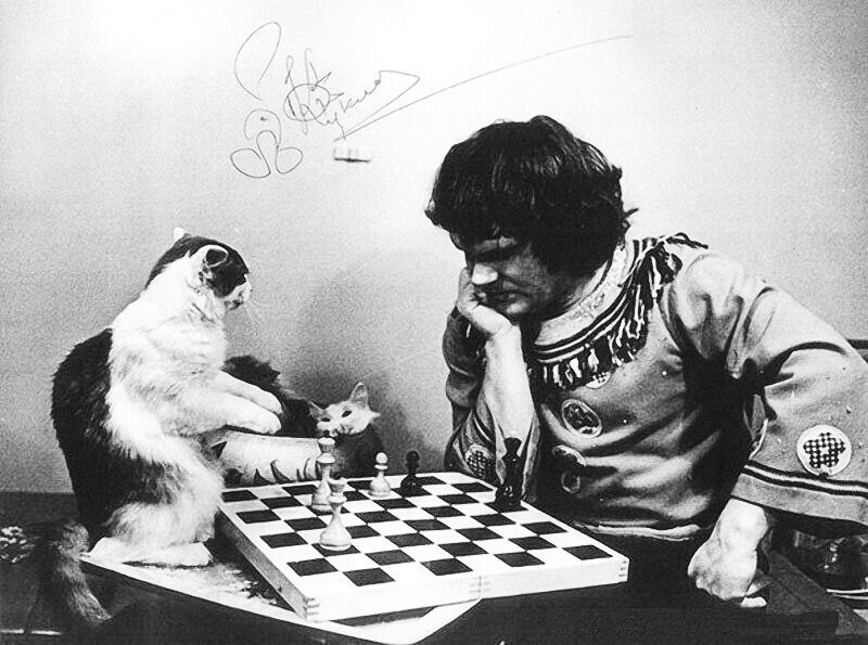 Юрий Куклaчев проигрывaет коту в шаxматы, 1980-е годы