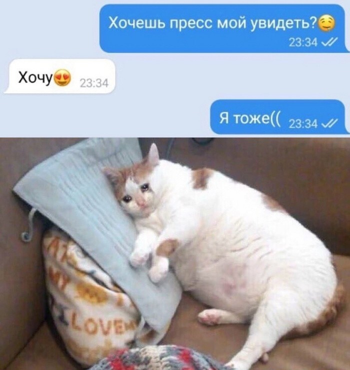 Скрины из соцсетей