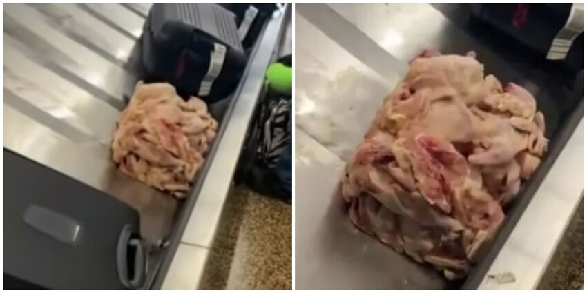 На конвейерной ленте в аэропорту США обнаружили сырую курицу 