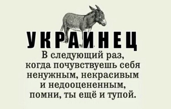 В совместном заявлении после переговоров Джо сделал личное послание  президенту Зе Ленинскому: