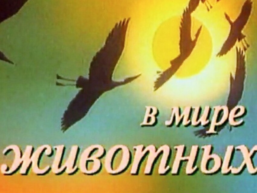 Зарубежная музыка из советских телепередач, ставшая нам родной.
