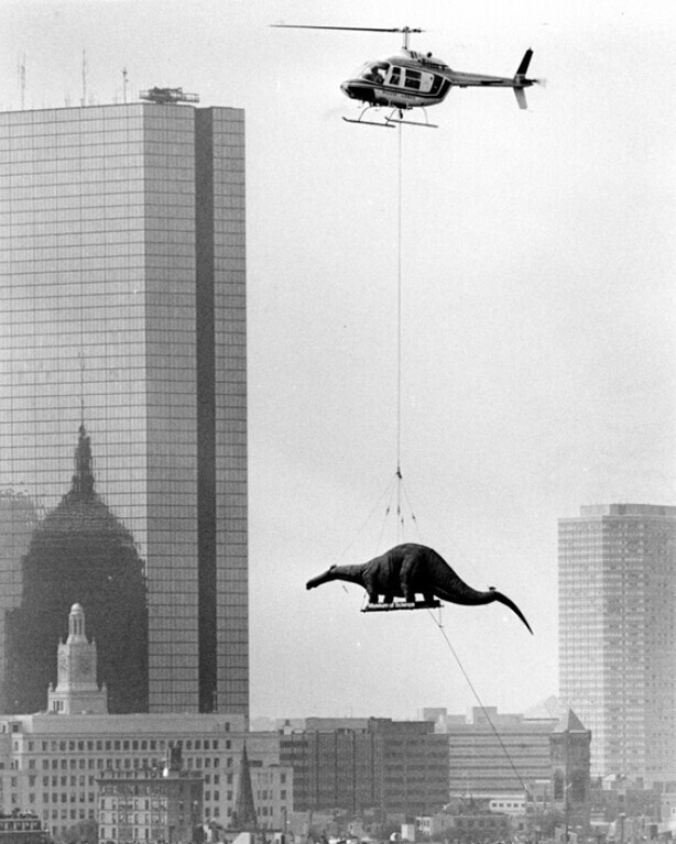 Доставка динозавра в Бостонский музей науки. 1984 год