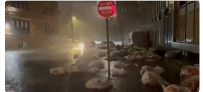 В Бруклине мусор из смытых ливнем помоек разносит потоками по району