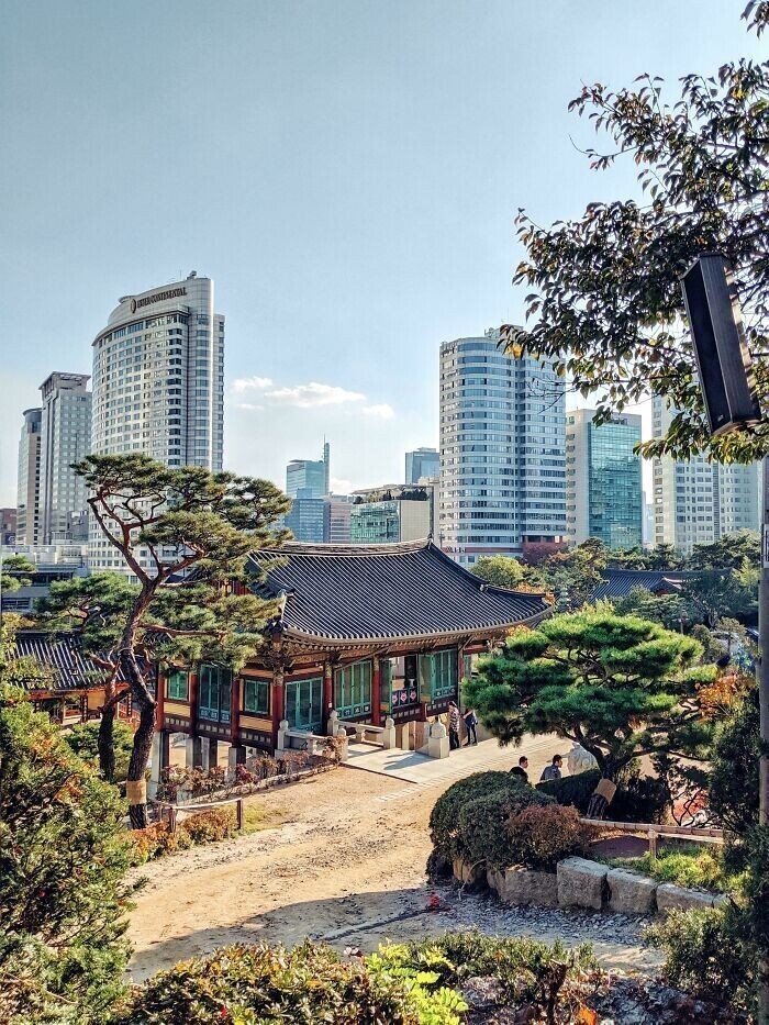 Корея: история и современность