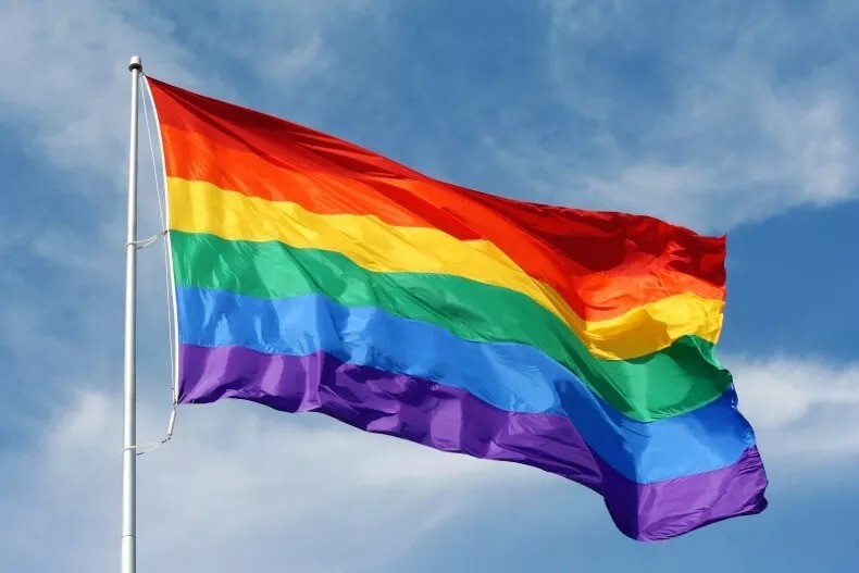Ученик школы в Джорджии напал на товарища и избил его из-за ЛГБТ-флага