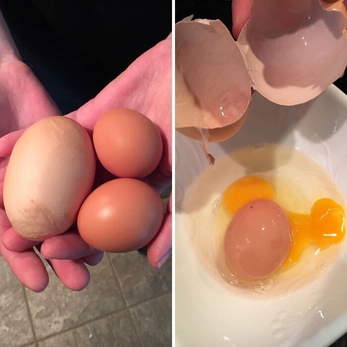 3. Огромное куриное яйцо, внутри которого нашлось еще одно, стандартного размера
