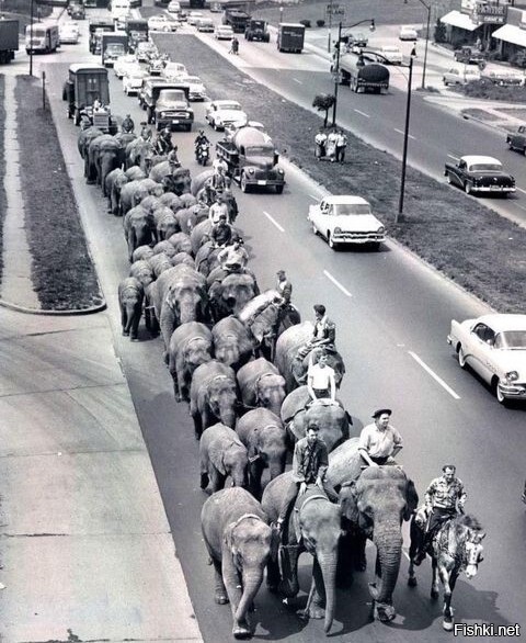 Обычный день 1956-го года в Балтиморе, на Pulaski Highway