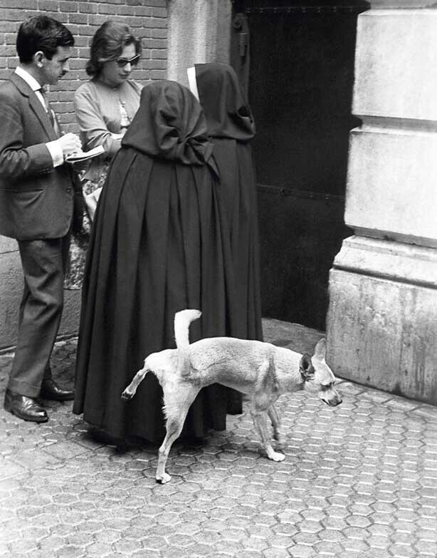 Собака против монахинь. Мадрид, Испания. Около 1960-х гг.