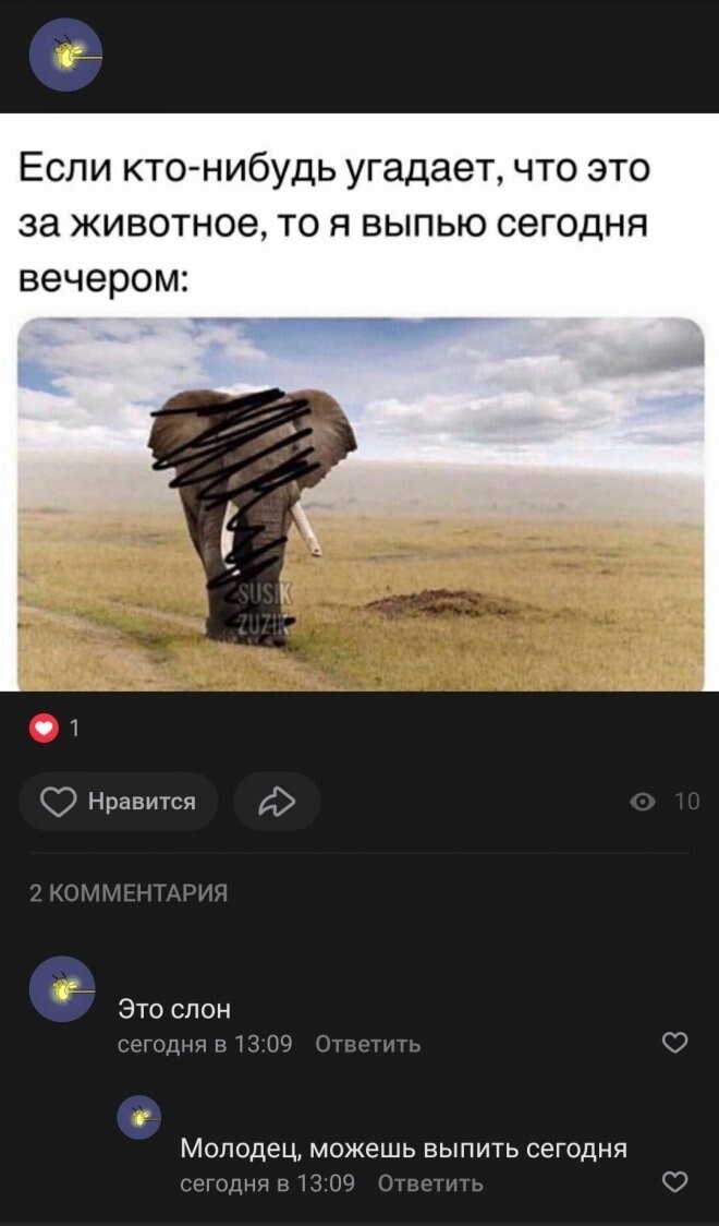 Скрины из  соцсетей