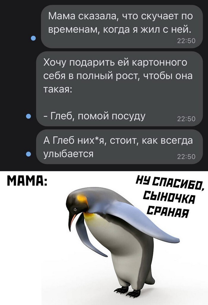 Скрины из  соцсетей