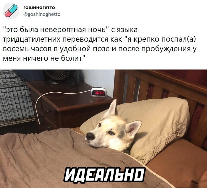 Скрины из  соцсетей