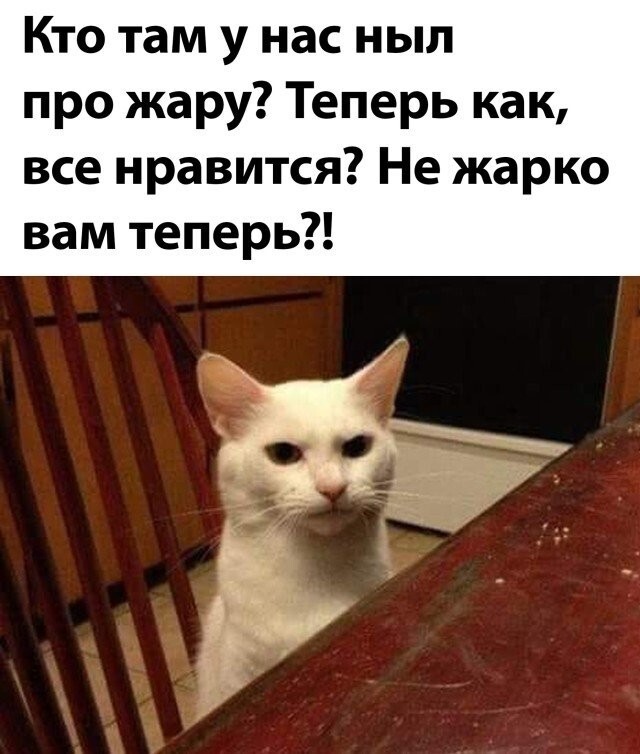  Намешалось опять