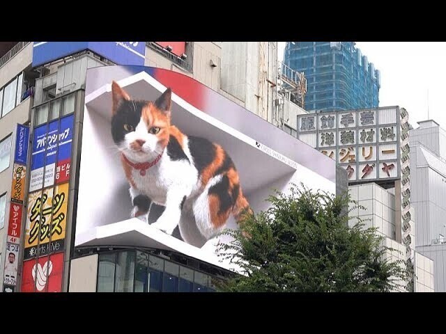 Огромный 3D кот приветствует прохожих на Токийском вокзале Синдзюку 