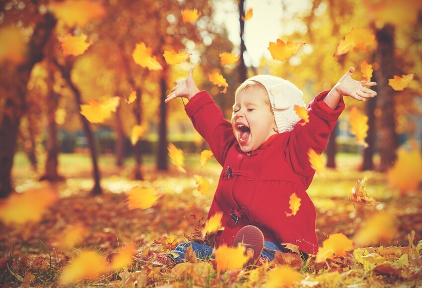 Не хуже других, если не лучше: почему стоит полюбить осень?