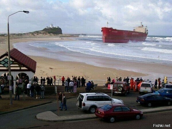 С Приплыздом