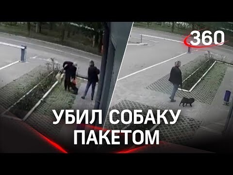 В Башкирии мужчина содержимым пакета убил напавшую на него собаку 