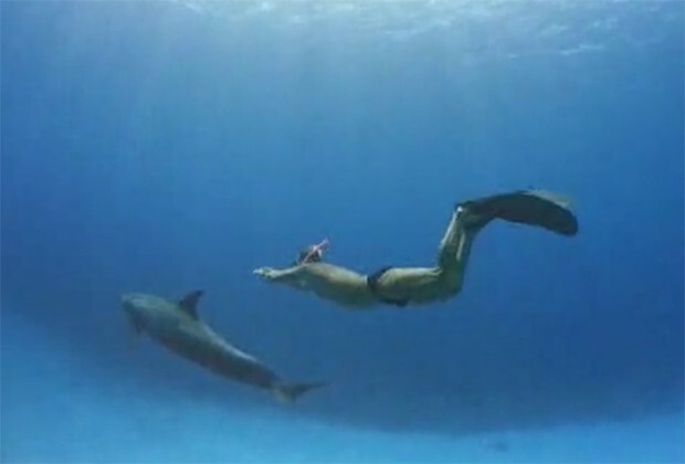 Невероятные приключения Джоджо.Дельфин-одиночка наводил страх на туристов