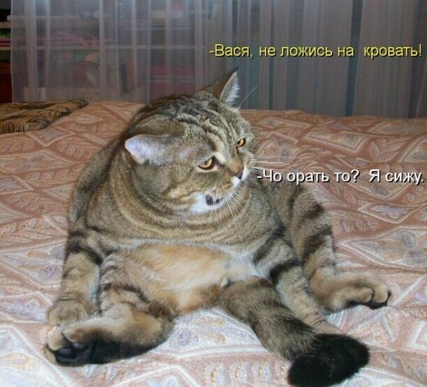 Зоопозитивчик