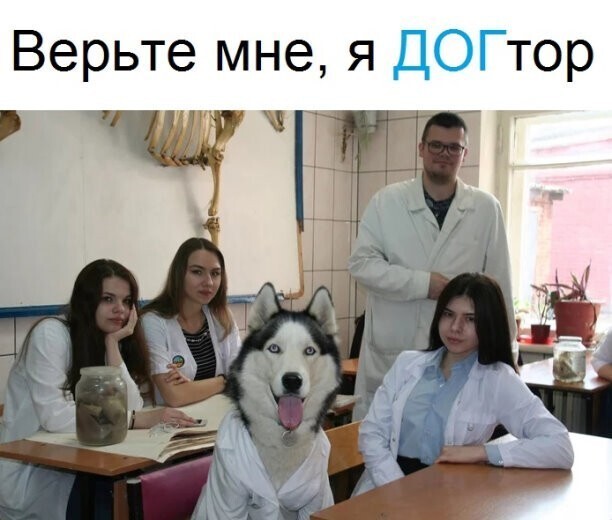 Зоопозитивчик