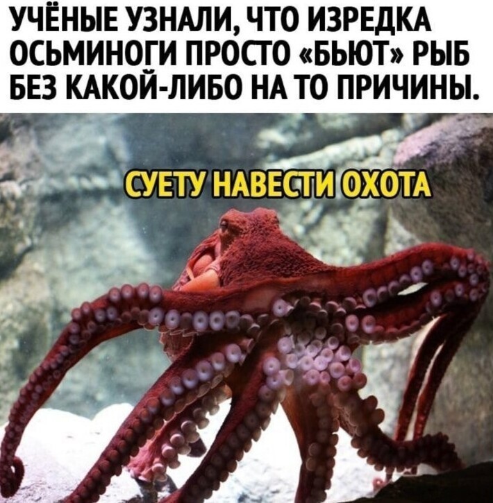 Приколы от души