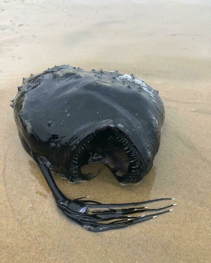 29. Кто-то потерял черную сумочку на пляже