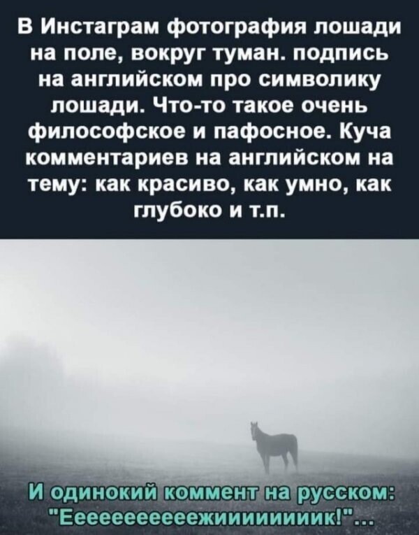 Вечерний Калейдоскоп полит. скринов