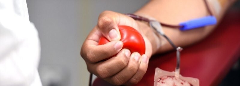 Как стать донором крови