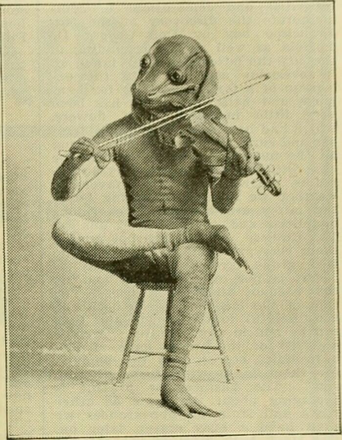 35. Фотография из еженедельного журнала "Американский флорист", 1885 год