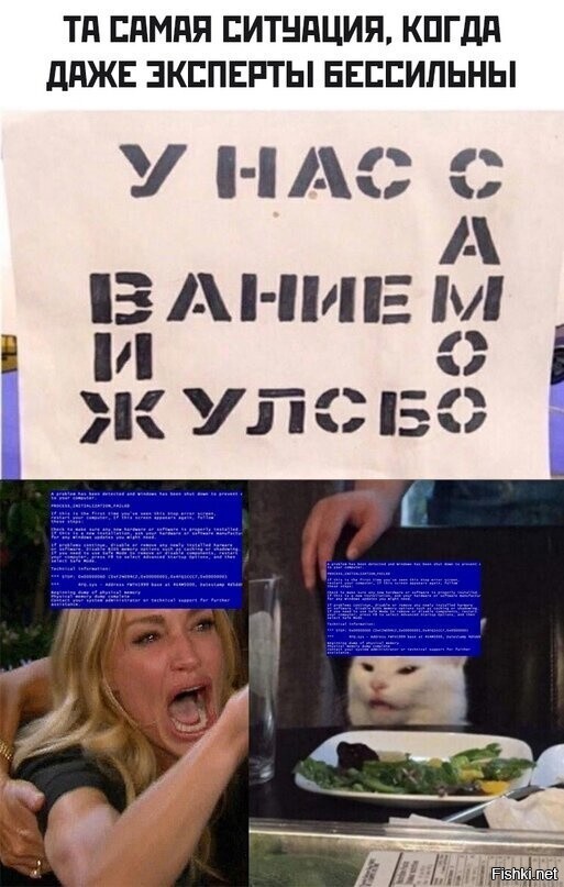 Солянка