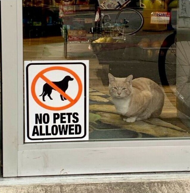 "Вход с животными запрещен"