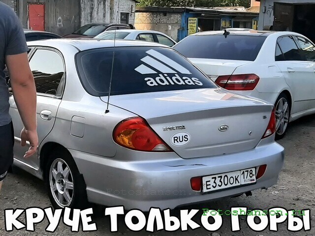 Автовсячина